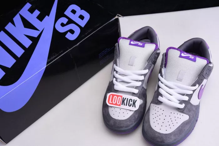 Cheap EP Nike Dunk SB Low Purple Pigeon 304292-051 0120