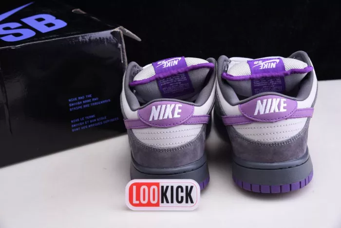 Cheap EP Nike Dunk SB Low Purple Pigeon 304292-051 0120