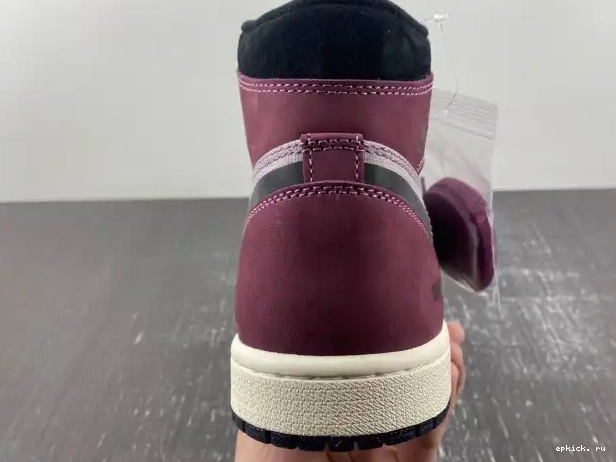 Rep EP Gore-Tex Element Jordan 1 Air DB2889-500 0215