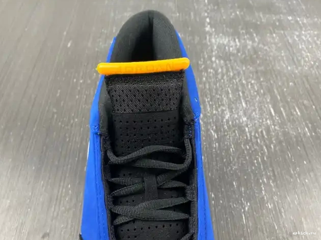 Rep EP Laney 14 Jordan 487471-407 Retro 0218