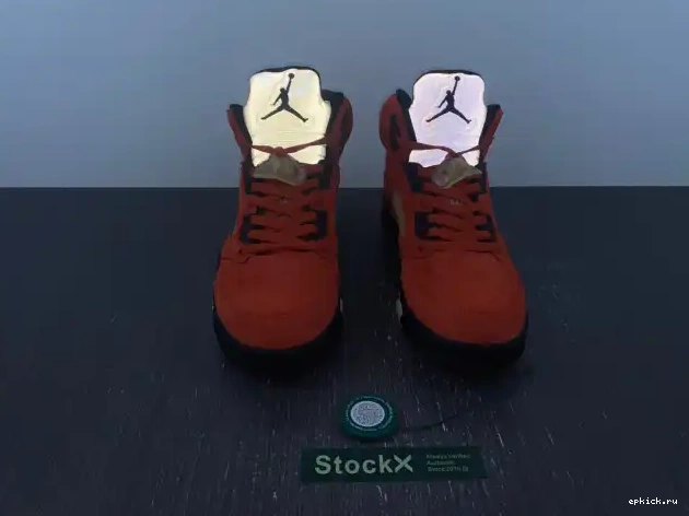 Rep EP Jordan Air For Mars DD9336-800 Her 5 WMNS 0210